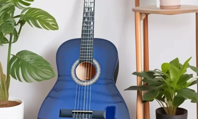 Acoustic Guitar for rent